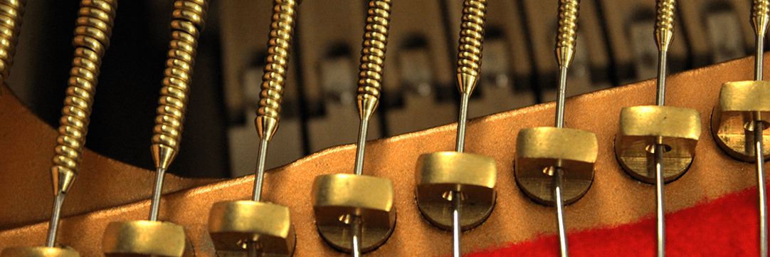 Quality Strings - Yamaha C5 - Brass Bass Strings